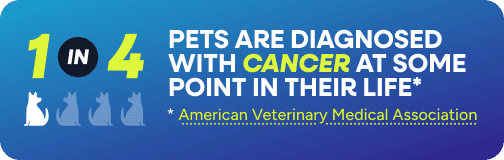 1 in 4 pets are diagnosed with cancer at some point in their life.* *American Veterinary Medical Association